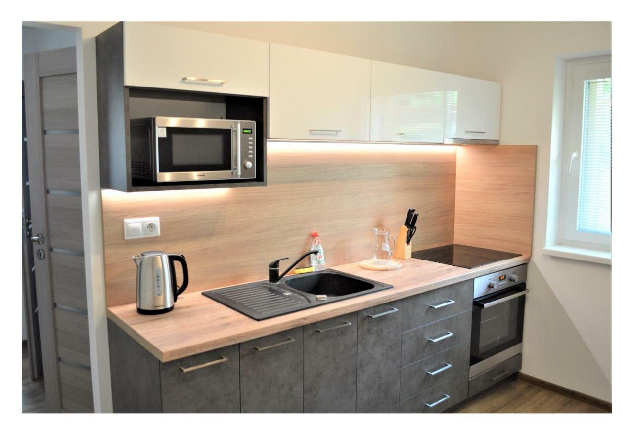 Sgl Apartments Lavickova Trencin Bagian luar foto